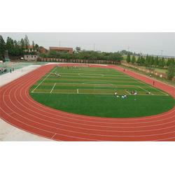 人造草坪足球場 騰夏裝飾產品 金壇人造草