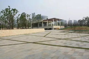 55款創意嵌草鋪裝意向圖合集