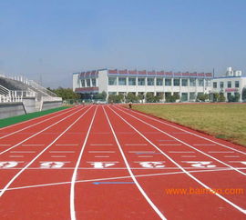 淮安塑膠跑道廠家施工維修翻新,淮安塑膠跑道廠家施工維修翻新生產(chǎn)廠家,淮安塑膠跑道廠家施工維修翻新價格