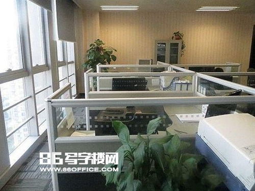 上海鳳凰科技園出租 duang 好房來襲 鳳凰園 漕河涇精裝150平 房型正僅此一套 86寫字樓網(wǎng)