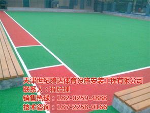 人造草坪施工 世紀(jì)騰達(dá) 在線咨詢 人造草坪