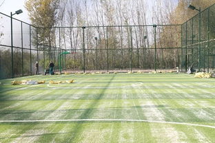 我家每天不一樣 打球,約不 這下好了,不出村就有專業(yè)球場(chǎng)