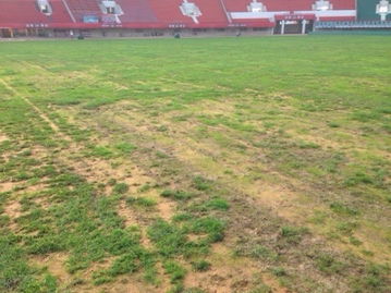 前瞻 賈秀全迎老東家 建業戰綠地欲 治各種不服