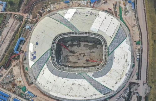 一龍一鳳構筑重慶發(fā)展新格局 體育場地鋪裝的創(chuàng)新實踐