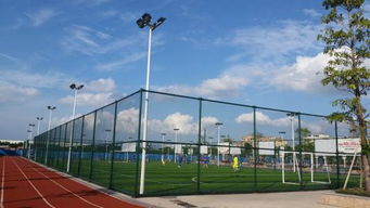 籃球場照明與地面鋪裝的選擇 LED燈具與其他燈具的對比分析